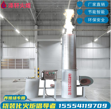 沼氣火炬廠家